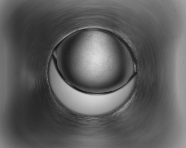 X0000090601513200707171323