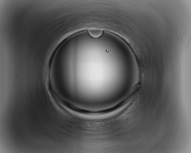 X0000090601515200707171323