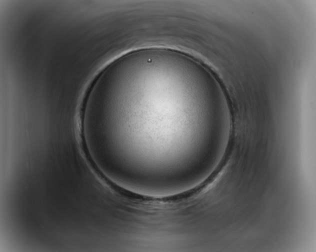 X0000090601517200707171323