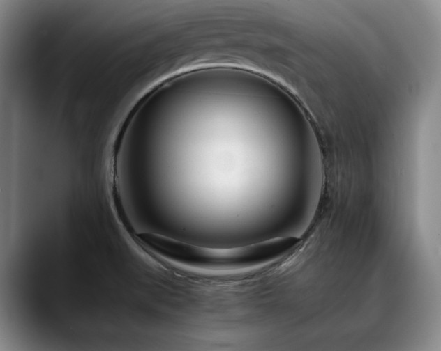 X0000090601519200707171323