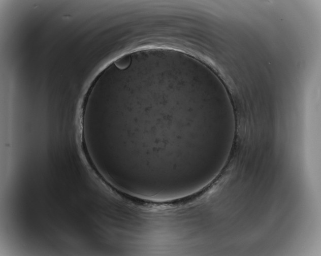 X0000090601522200707171323