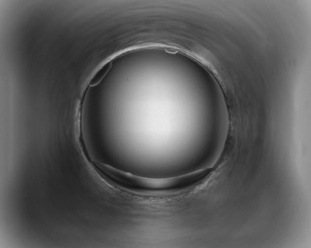 X0000090601524200707171323