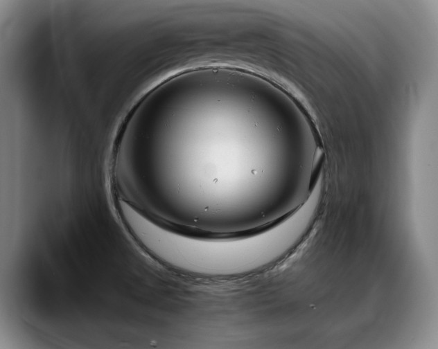 X0000090601525200707171323