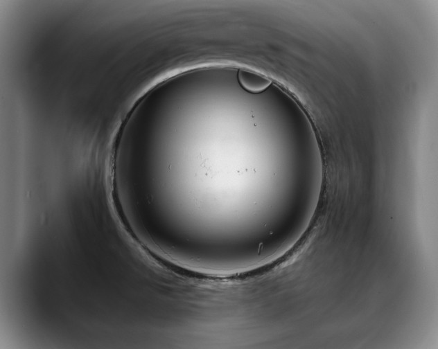 X0000090601526200707171323