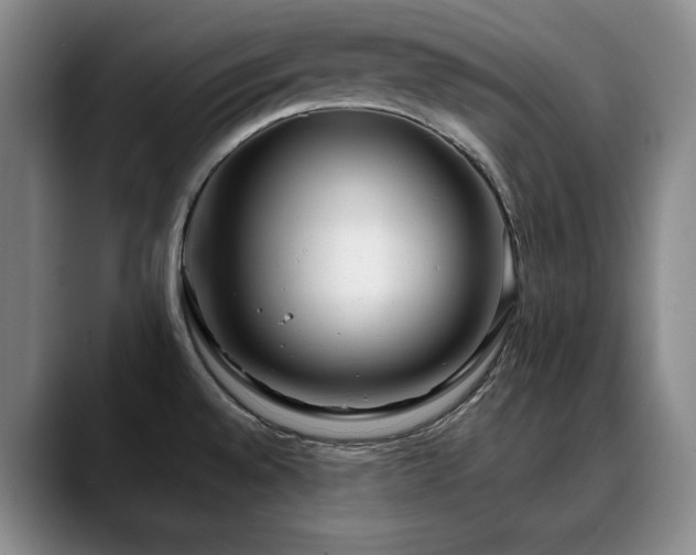 X0000090601528200707171323