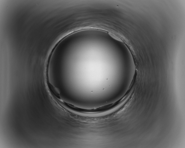 X0000090601530200707171323