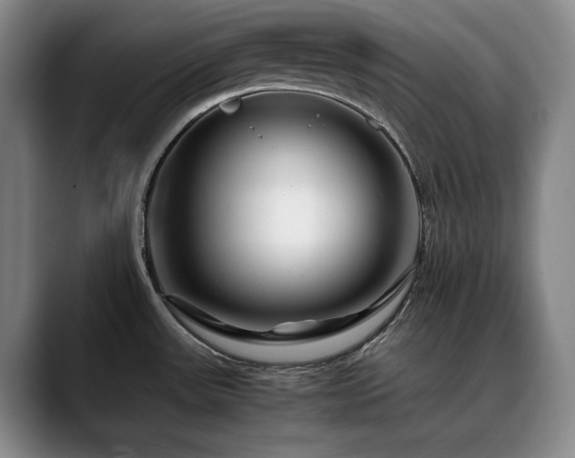 X0000090601531200707171323