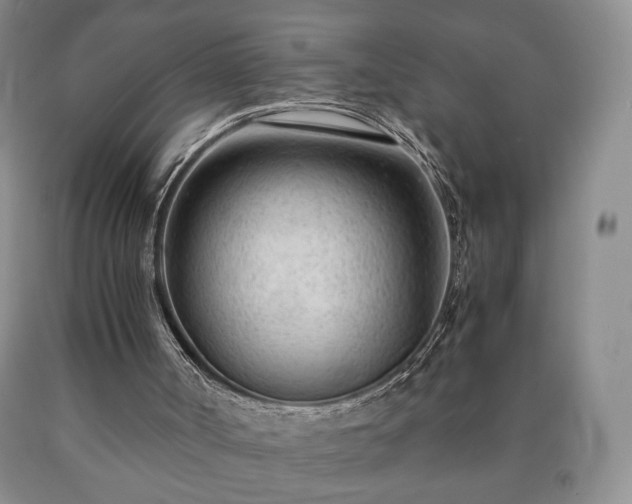 X0000090600002200707241054