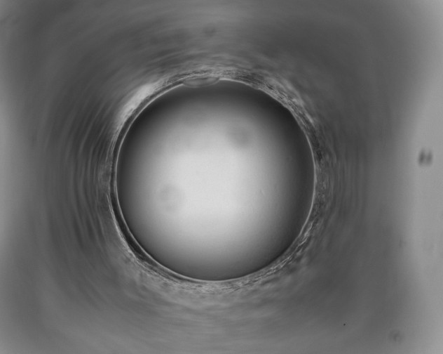 X0000090600003200707241054