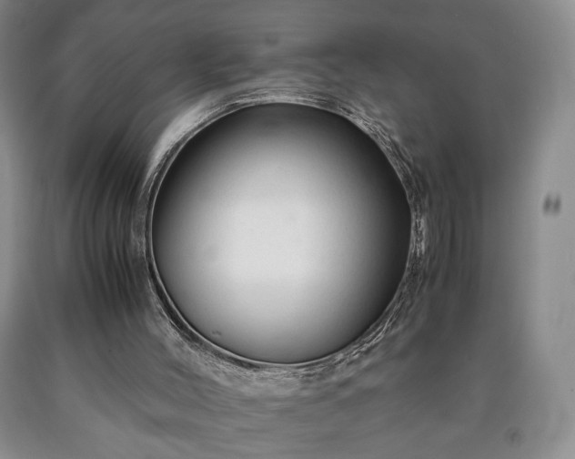 X0000090600004200707241054