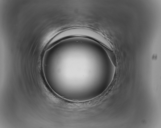 X0000090600005200707241054