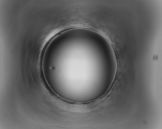 X0000090600008200707241054