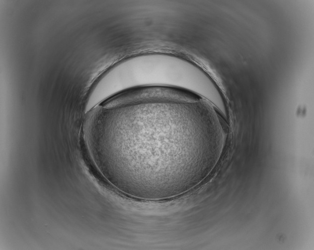 X0000090600010200707241054