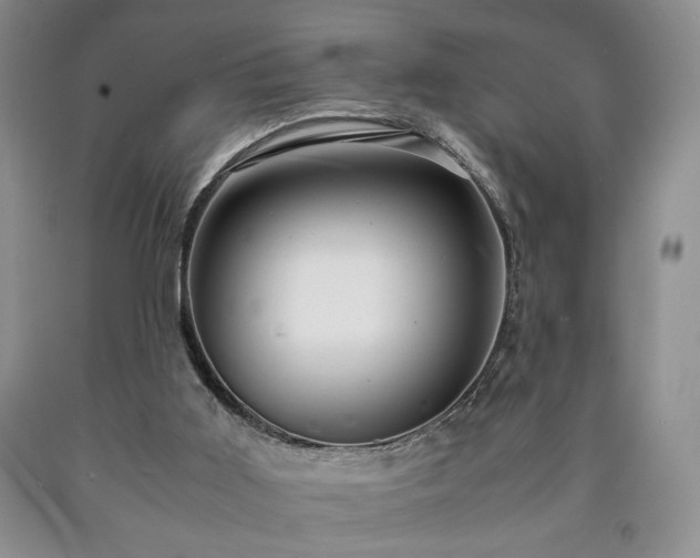 X0000090600011200707241054