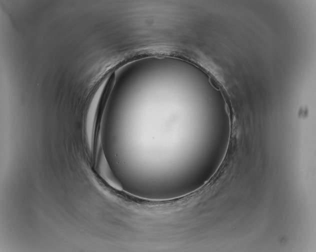 X0000090600013200707241054