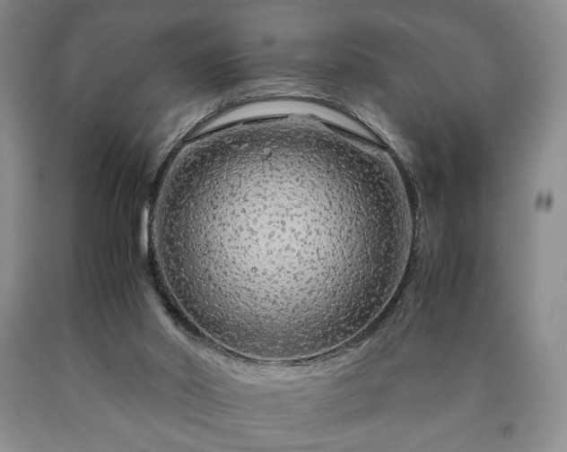 X0000090600014200707241054