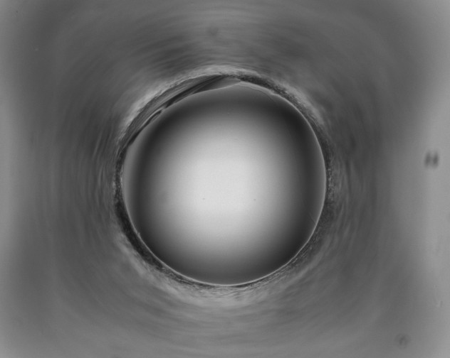 X0000090600015200707241054