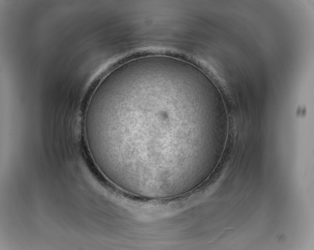 X0000090600016200707241054