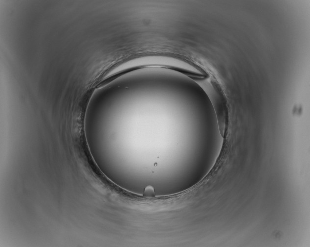 X0000090600017200707241054