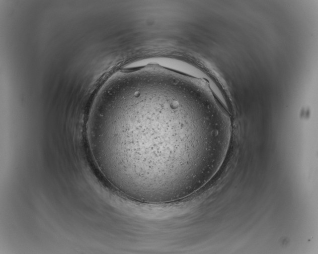 X0000090600018200707241054