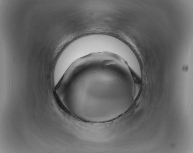 X0000090600019200707241054