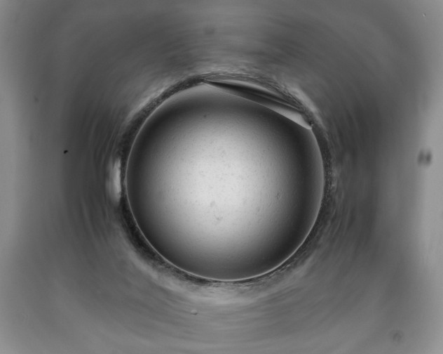 X0000090600020200707241054