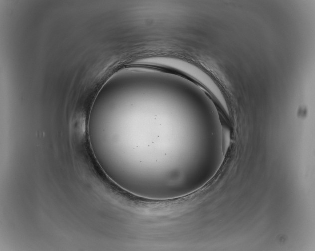 X0000090600021200707241054