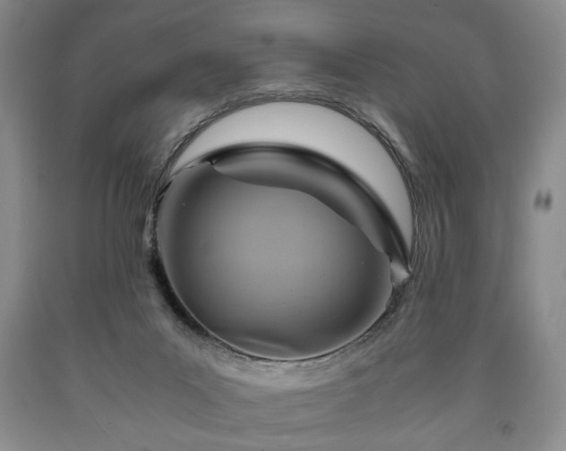 X0000090600023200707241054