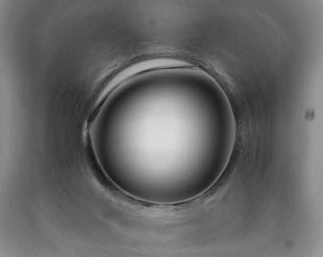 X0000090600024200707241054