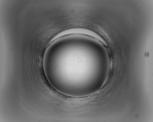 X0000090600025200707241054