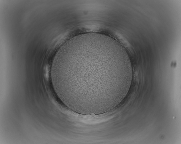 X0000090600026200707241054