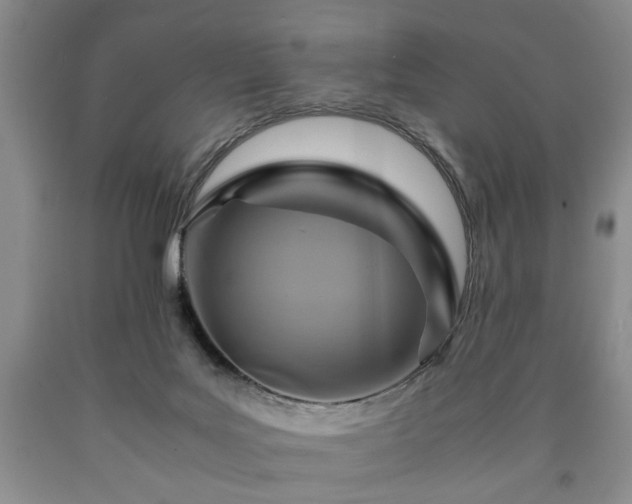 X0000090600027200707241054