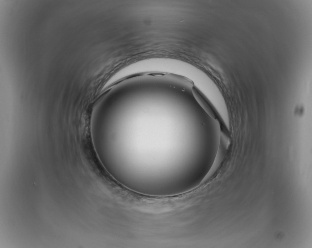 X0000090600029200707241054