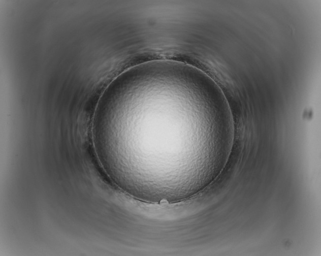 X0000090600030200707241054