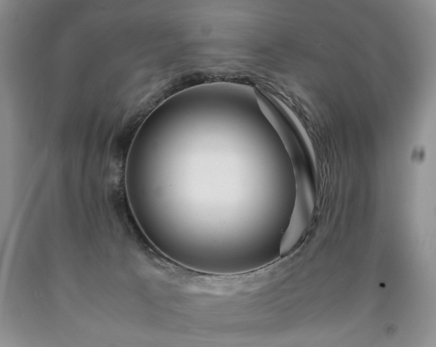 X0000090600033200707241054