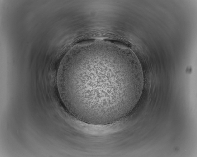 X0000090600034200707241054