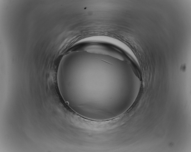 X0000090600035200707241054