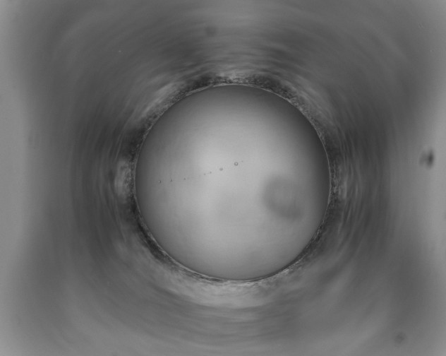 X0000090600036200707241054