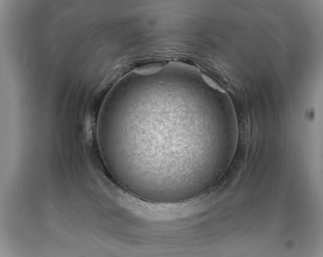 X0000090600038200707241054