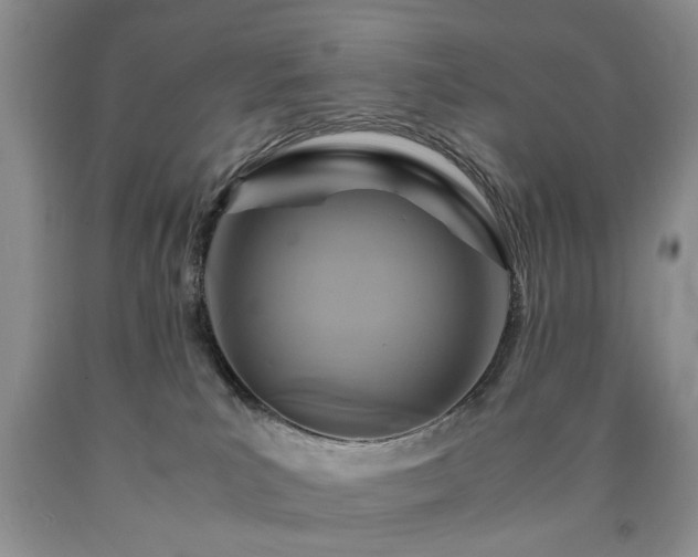 X0000090600039200707241054