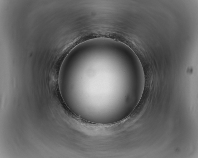 X0000090600040200707241054