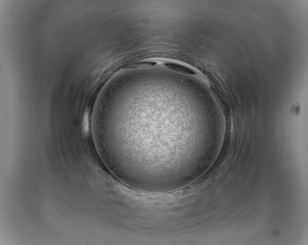 X0000090600042200707241054