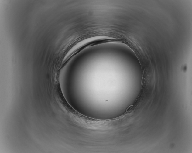 X0000090600044200707241054