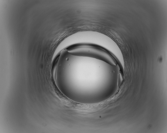 X0000090600045200707241054