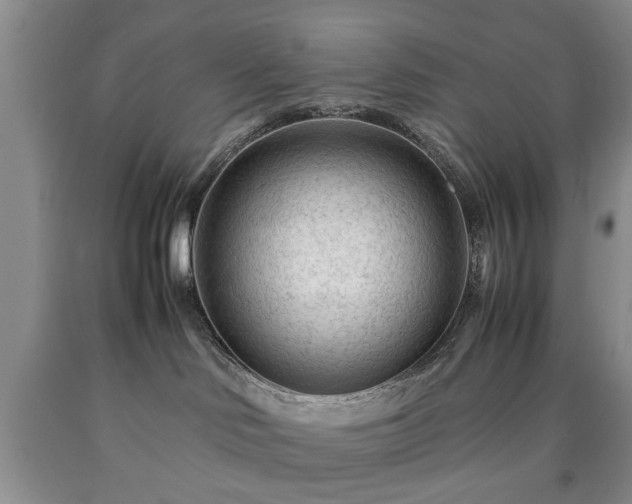 X0000090600046200707241054