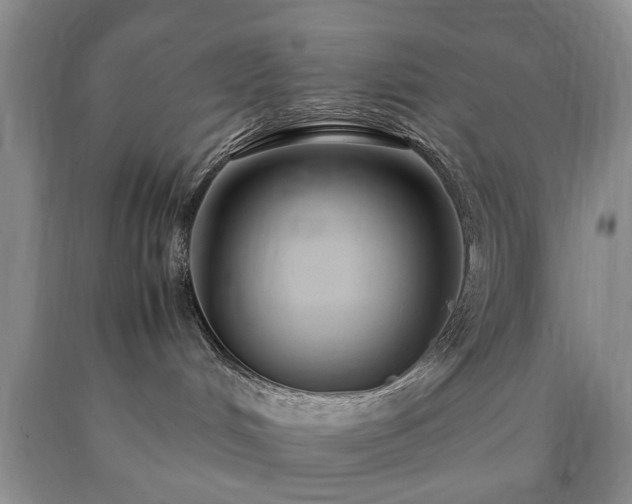 X0000090600048200707241054