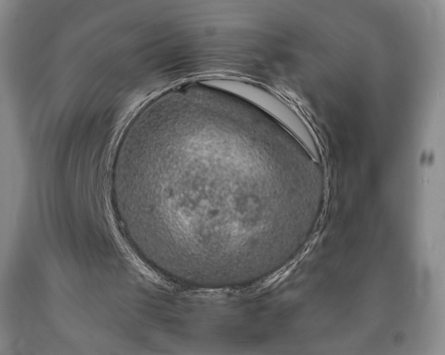 X0000090600049200707241053