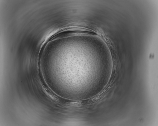 X0000090600050200707241053