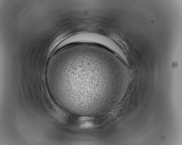 X0000090600051200707241053