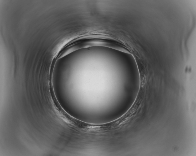 X0000090600052200707241053